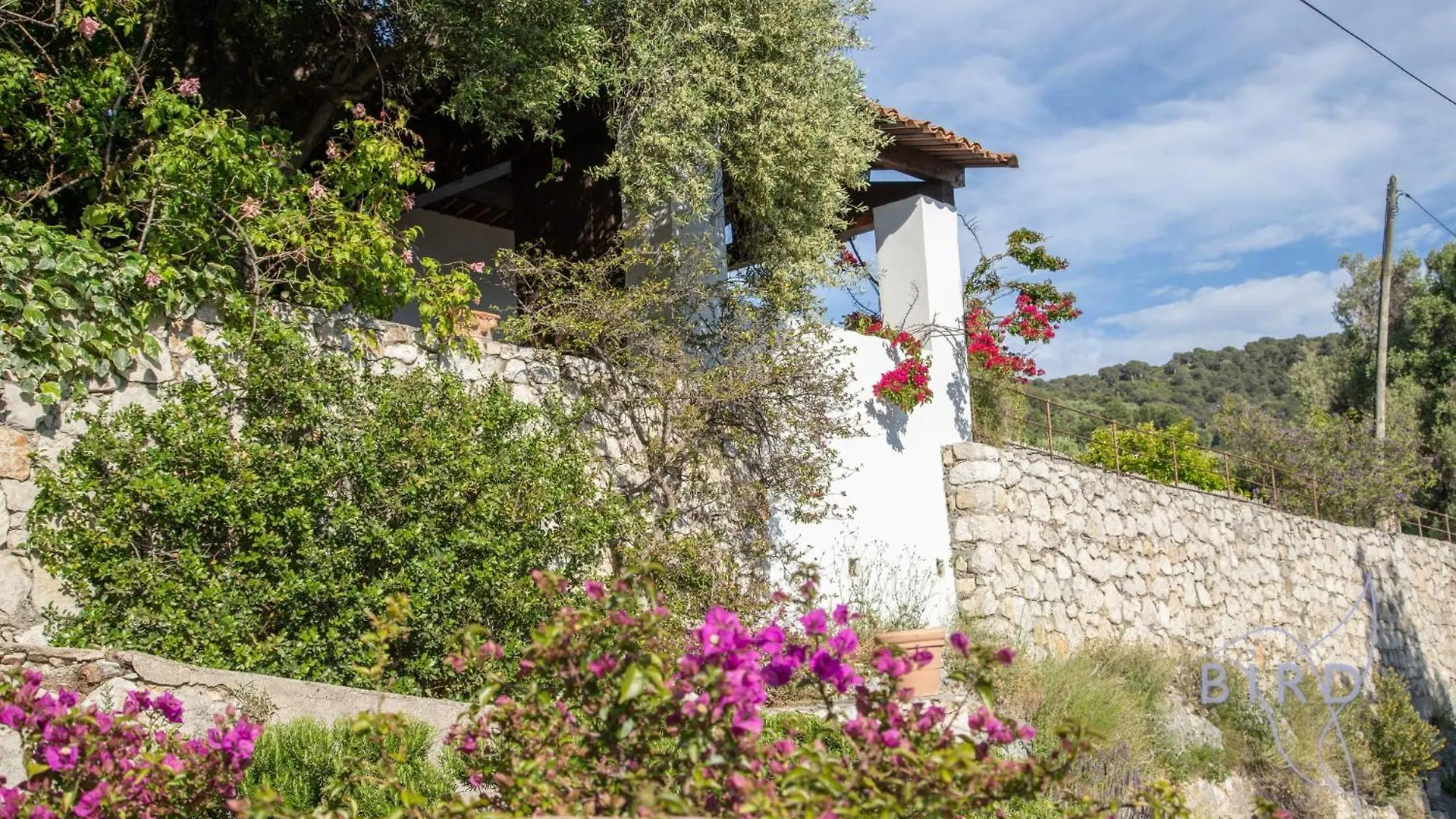Villa Bonnard In Nice Sea And City View & Pool فرنسا