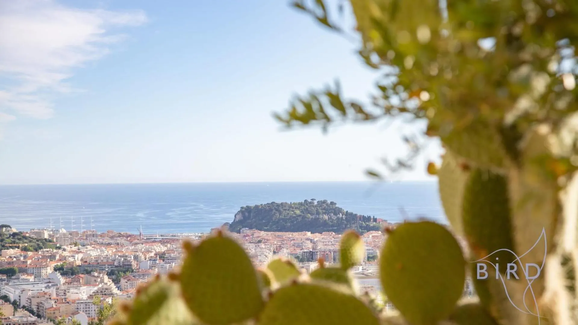 Villa Bonnard In Nice Sea And City View & Pool France