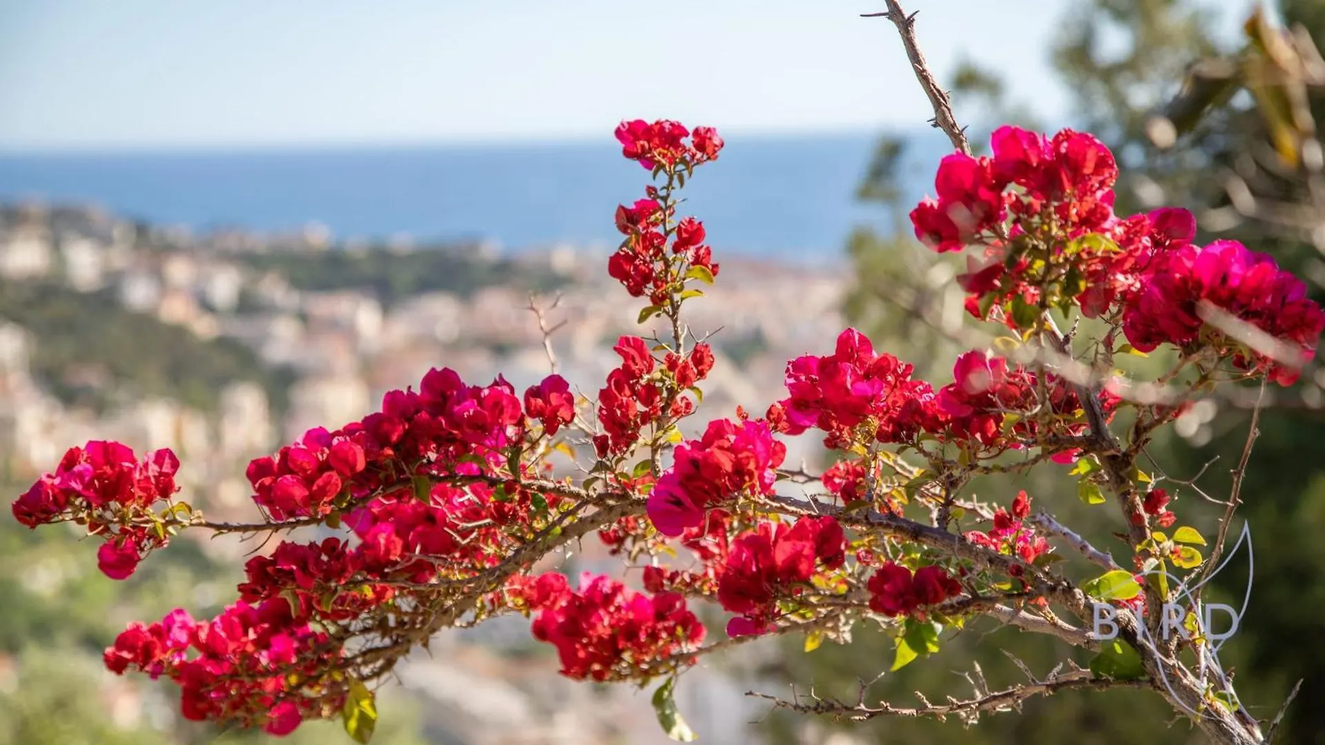 Villa Bonnard In Nice Sea And City View & Pool